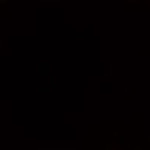 Meet your Posher, Antwaniqua